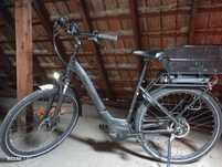 E Bike Pegasus Solero E8r Plus 500 WH DAMEN LILA 2024