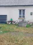 Sprzedam gęsi Landes