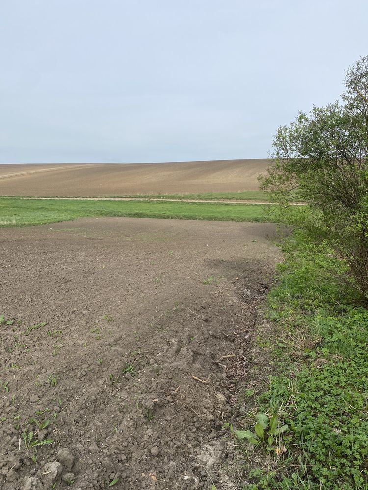 Продам будинок у селі Олишківці, Збаразького р-н., Тернопільської обл.