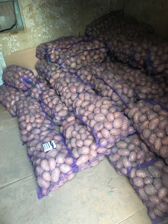 Продам картоплю (смт.Меджибіж)