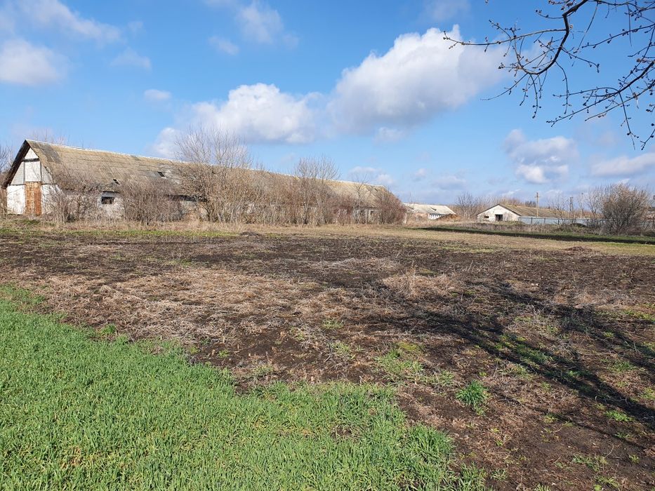 Продам ферми, свинарник, телятник, тваринницькі приміщення