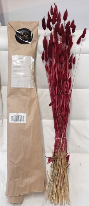 Suszony bukiet źdźbła traw Lagurus bordowy 40-70cm