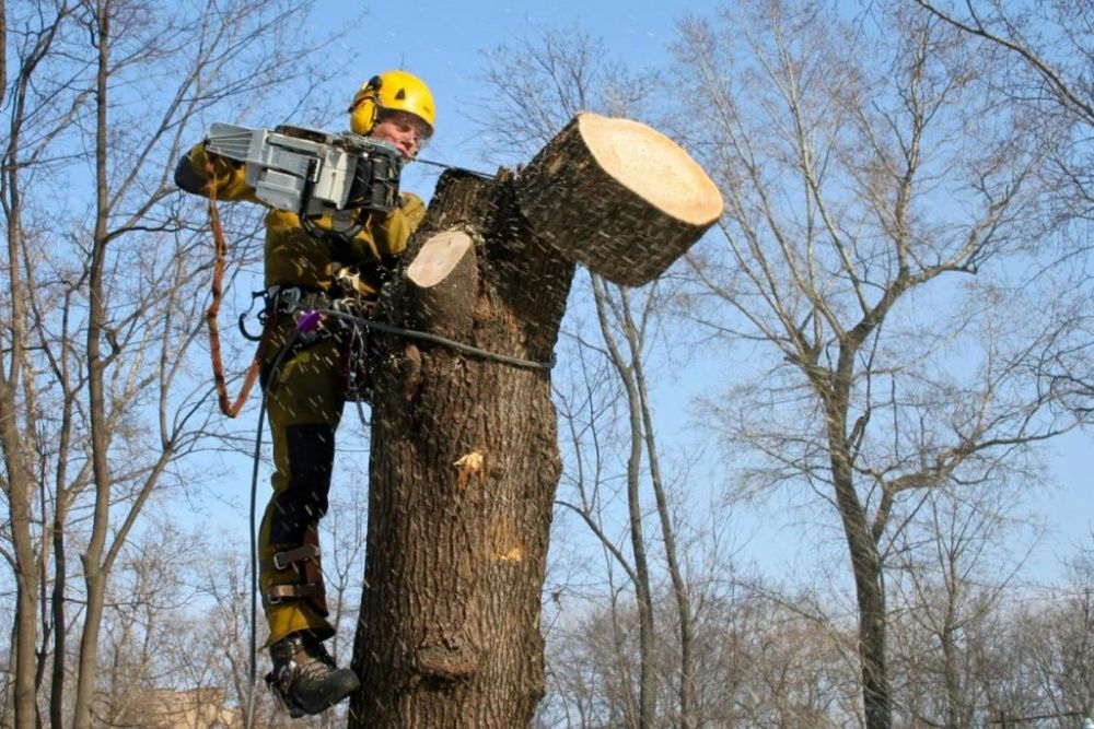 Продам дрова твёрдых пород, акация. Работаем с постоянными партнёрами