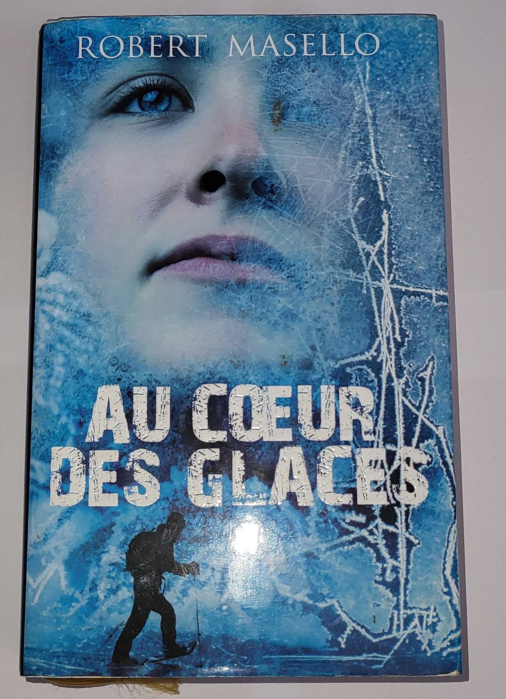 Livro Au Coeur Des Glaces - Literatura estrangeira (Francês)