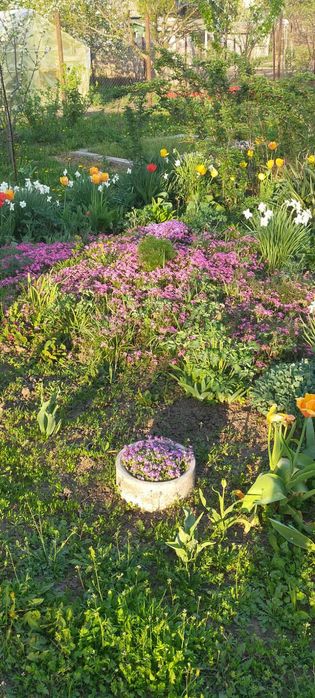 Продам дачу в місті р- н Лука,поряд житлові будинки,річка