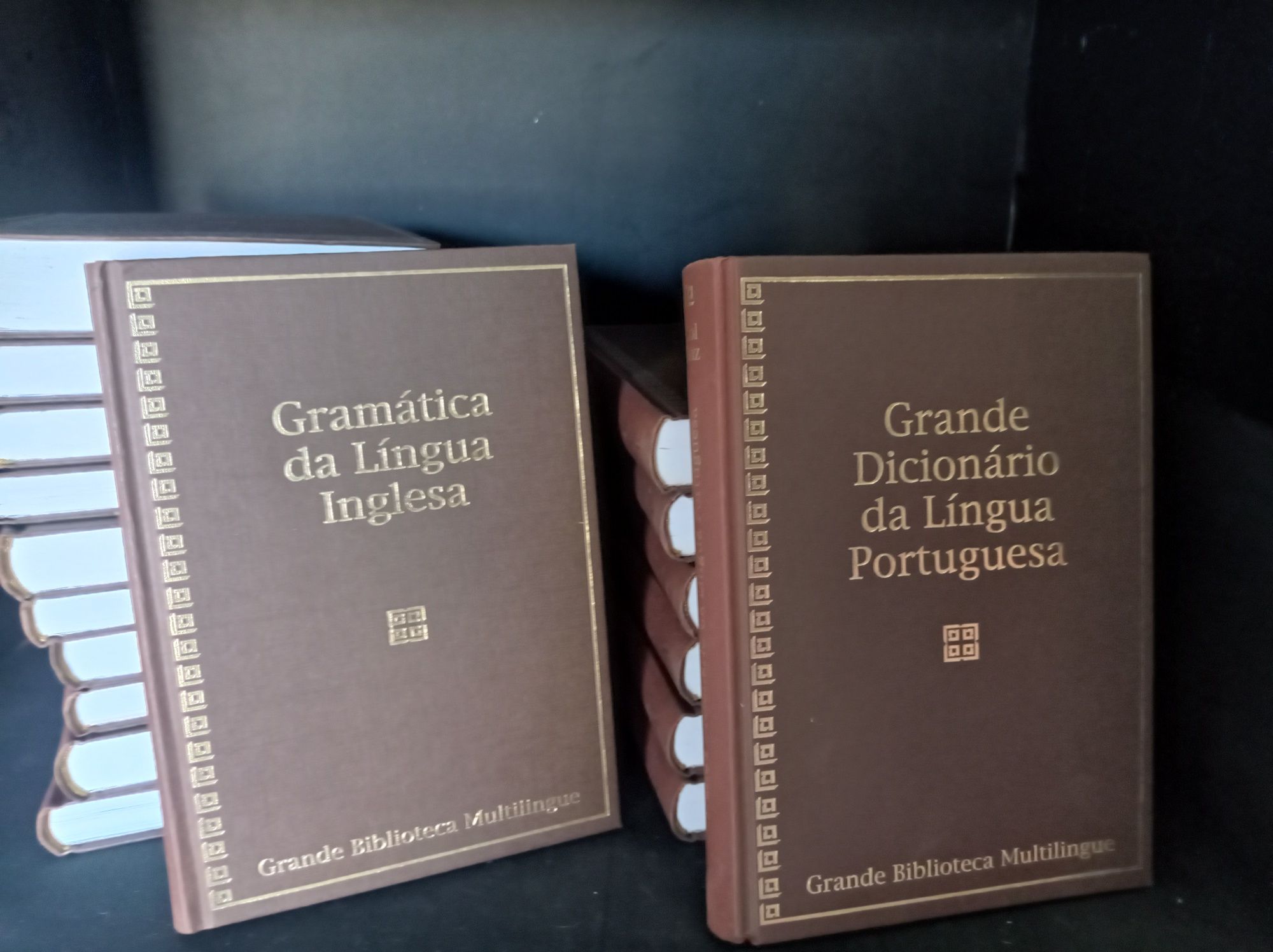 Coleção Dicionários/Gramática