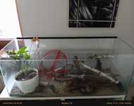 Terrarium 110x 40x45 cm