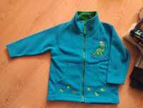 Bluza polarowa 104 dinozaur