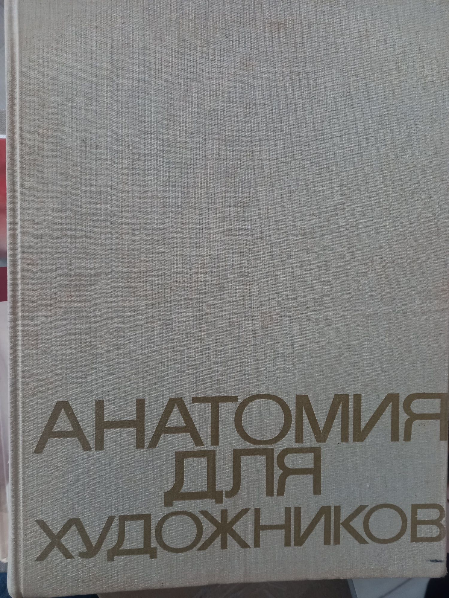 Анатомия для художников