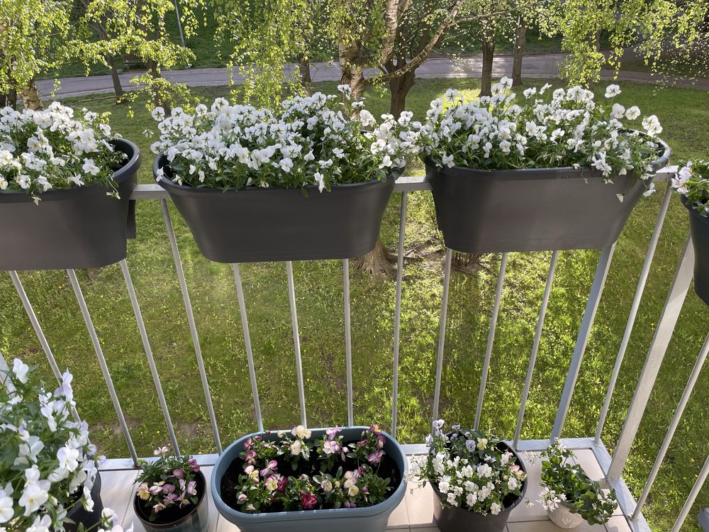 Donice na balustrade balkon Elho Corsica Flower Bridge 60x30 h27