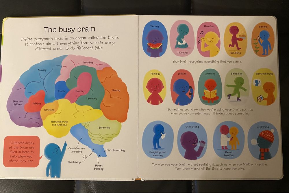 My First Science Book (Usborne Publishing)