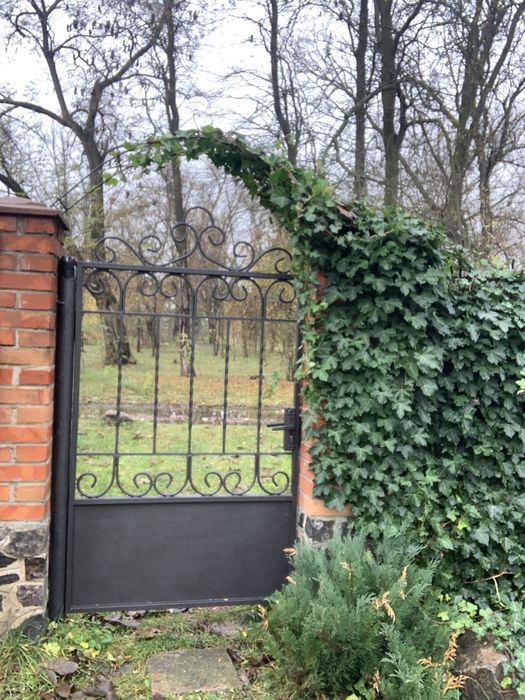 Продам плющ