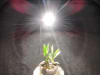 Panel LED GROW CLU058 - 150W, pow. 80x80