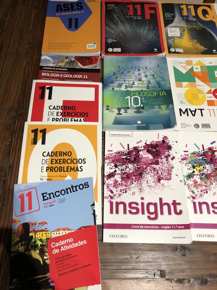 Livros escolares 11 ano