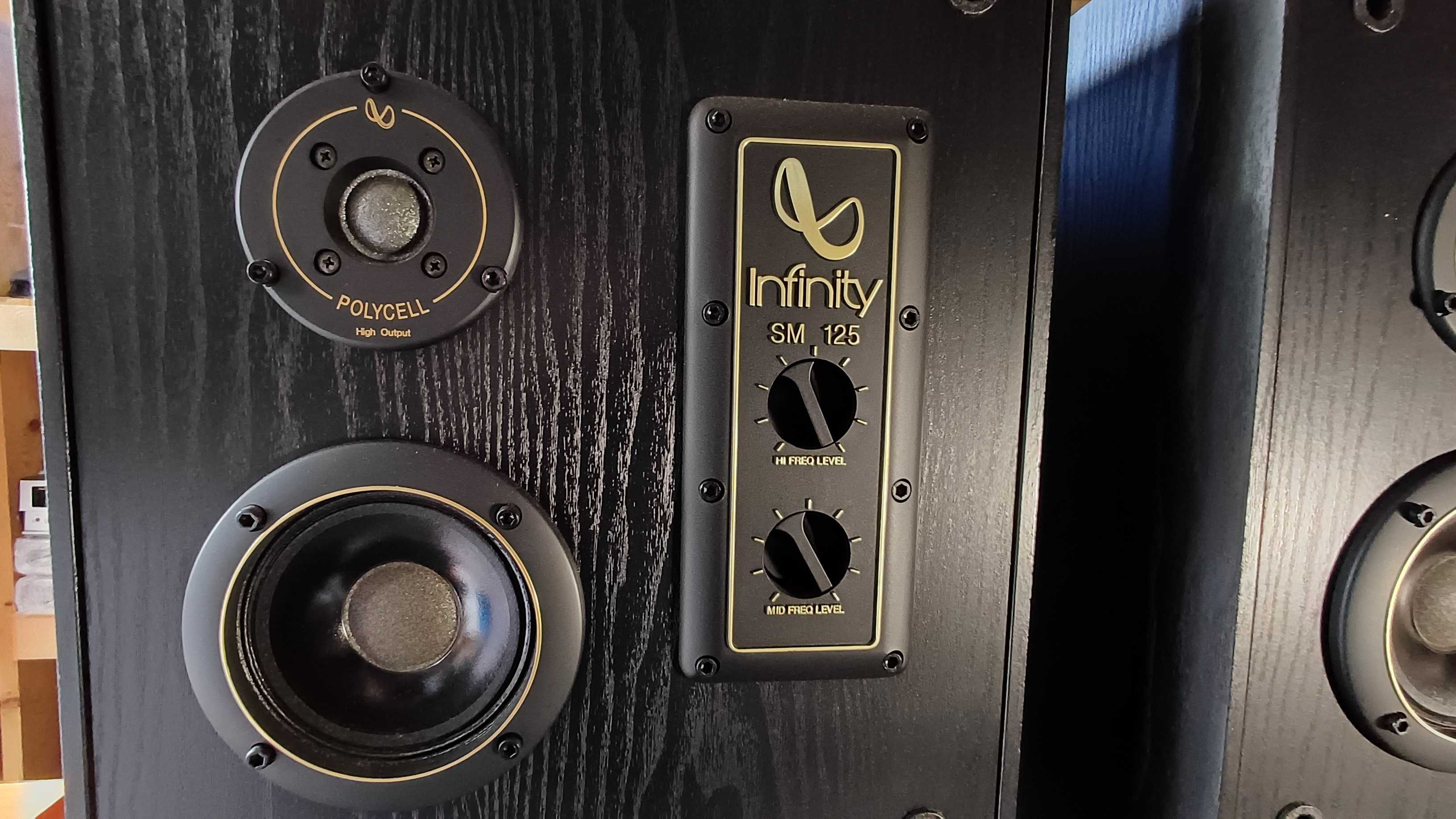 Kolumny głośnikowe  INFINITY SM 125