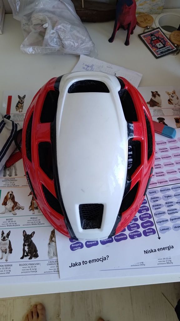 Kask rowerowy Uvex 51-55