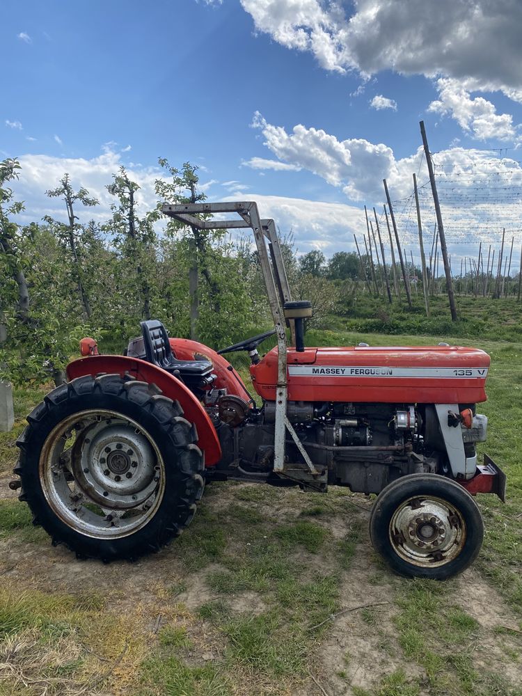 Massey Ferguson MF 135v mklll, 3cyl 47KM, sadowniczy, 255,235,147,247