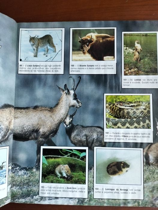 Caderneta Animals of the World - Panini