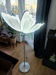 Motyl LED 60 cm kolor zimny