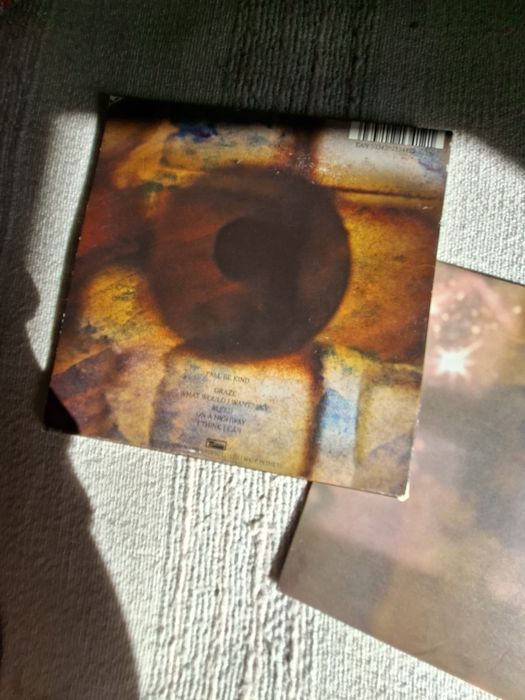 Cd dos Animal Collective