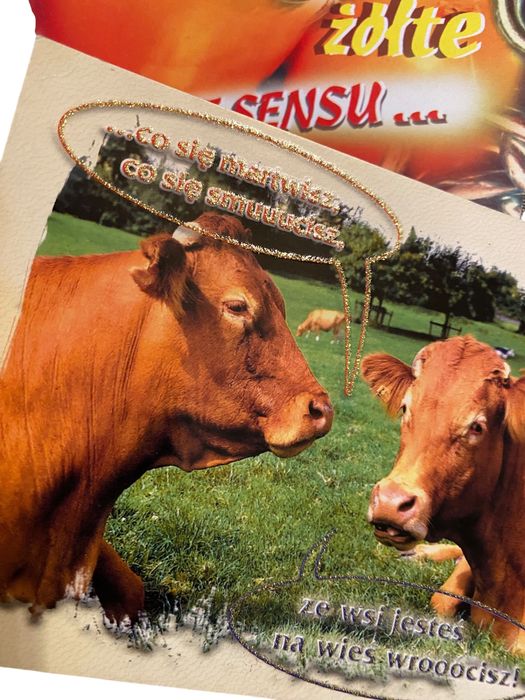 Pocztówki, ludzie, pozdrowienia, printcard, merigraf, top graphic