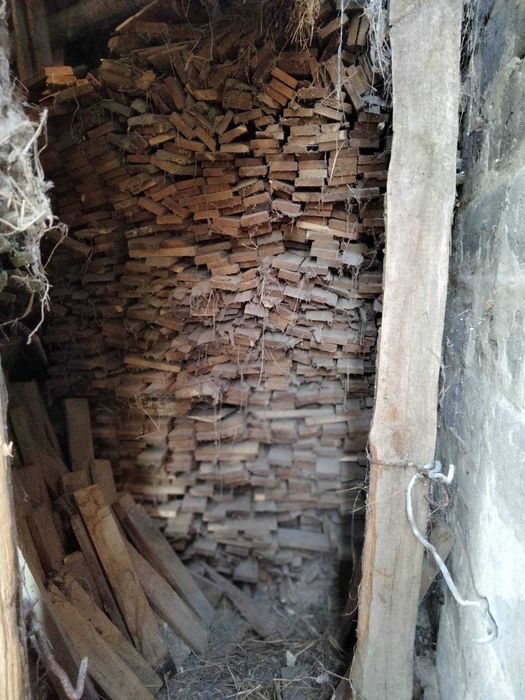 Дрова Дуб самовивіз