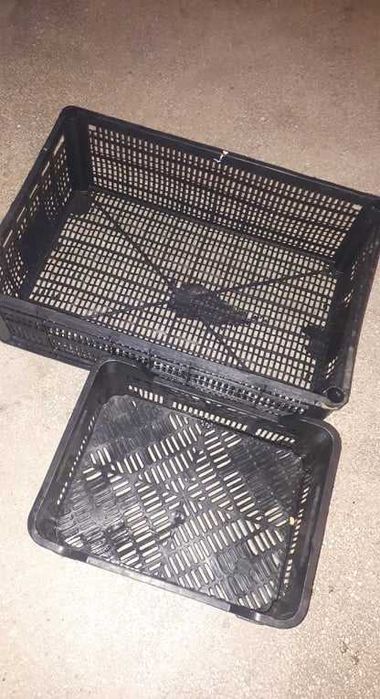 Wymienię skrzynki na warzywa/owoce