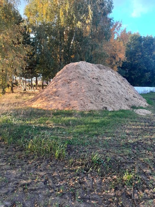 Sprzedam trociny mieszne sosna brzoza  duża ilość