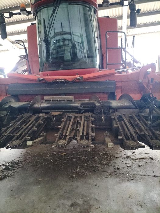 Przystawka do kukurydzy 8 rzędów