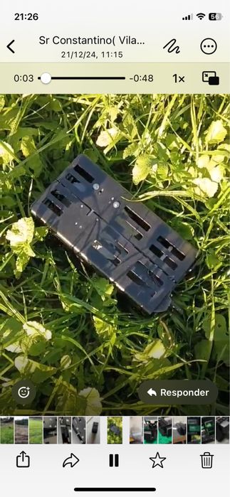 Libertadora para treino de caes de parar