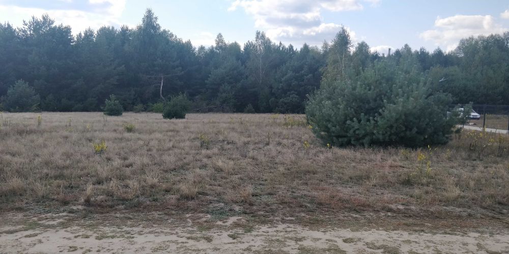 Sprzedam działkę, Klukówek (Świercze) pow. 2418m2