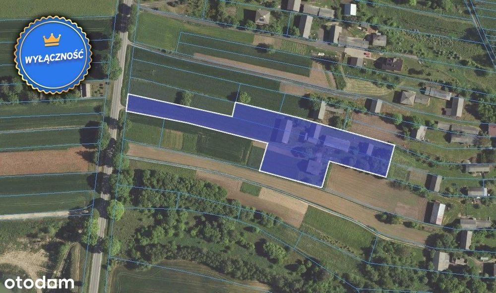 Nietuzinkowe siedlisko - 4km od Piask