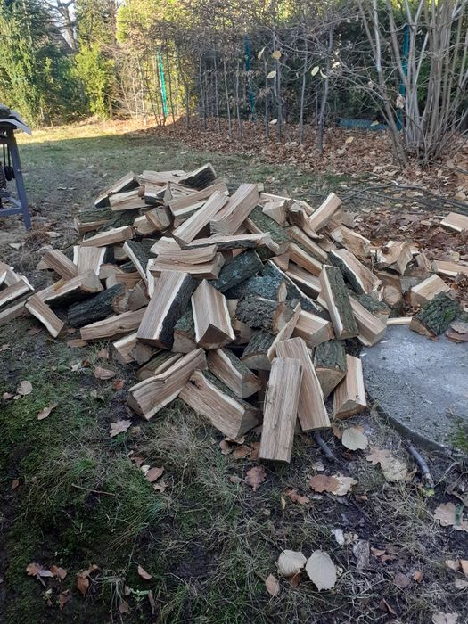 Koszenie, wycinka drzew, czyszczenie działek, pielęgnacja ogrodu