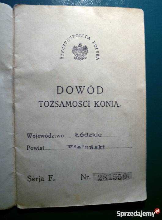 ANTYK - 1934... Dowód tożsamości KONIA !!!