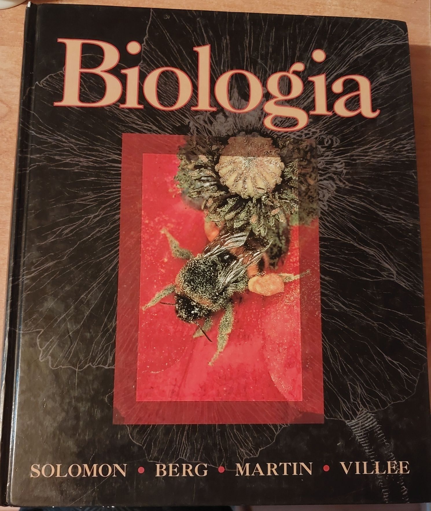 Biologia Solomon Berg Martin Villee