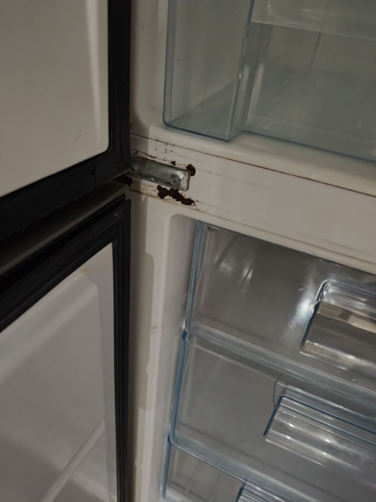 Lodówka Electrolux Intuition 185cm