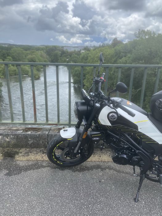 Benelli leomcino 2025