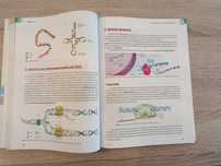 Livro Preparação Exame Biologia e Geologia