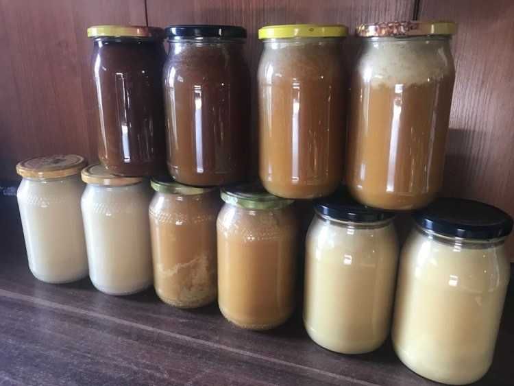Miód naturalny z własnej pasieki. Różne rodzaje 1,3kg KOSZALIN