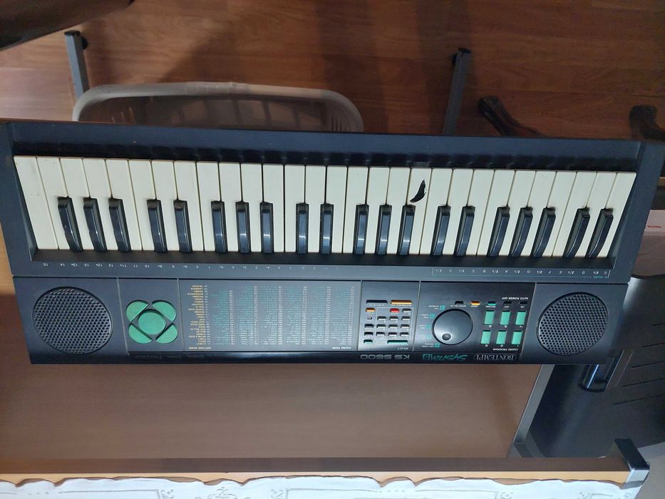 Órgão eletrónico