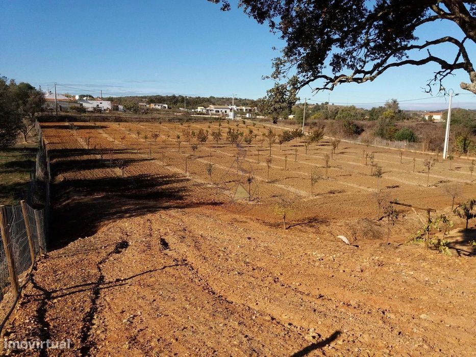 Terreno - Misto em Odiáxere - Lagos
