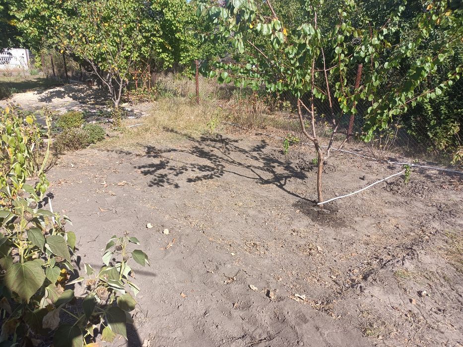 Закультивирую участок земли