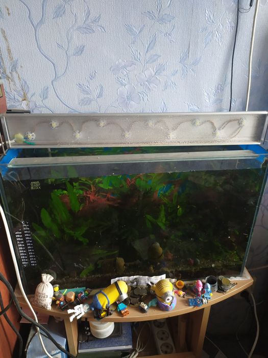 Аквариум со светильником и компрессором