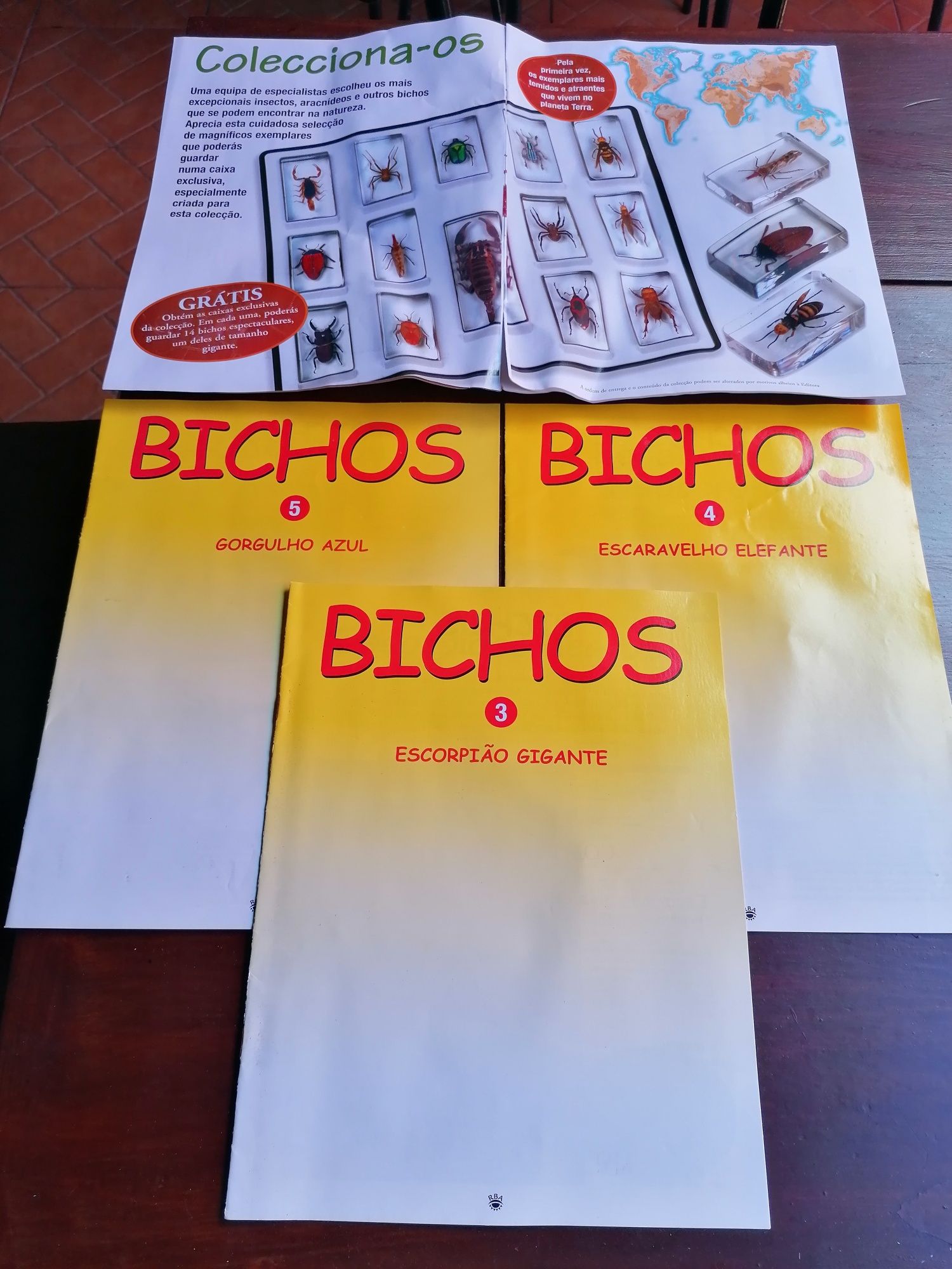 Livros bichos colecção