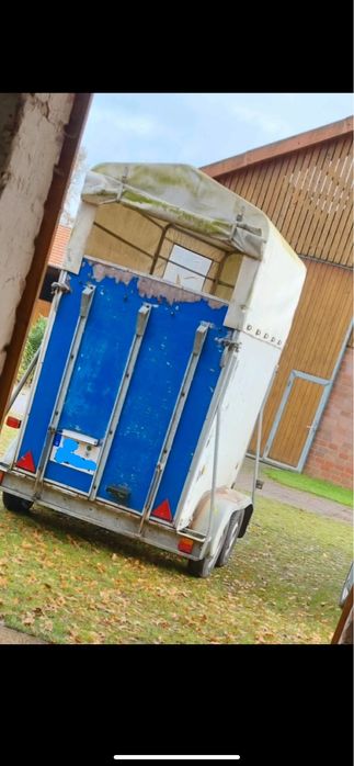 Przyczepka do konia 1.5 Rok 2005