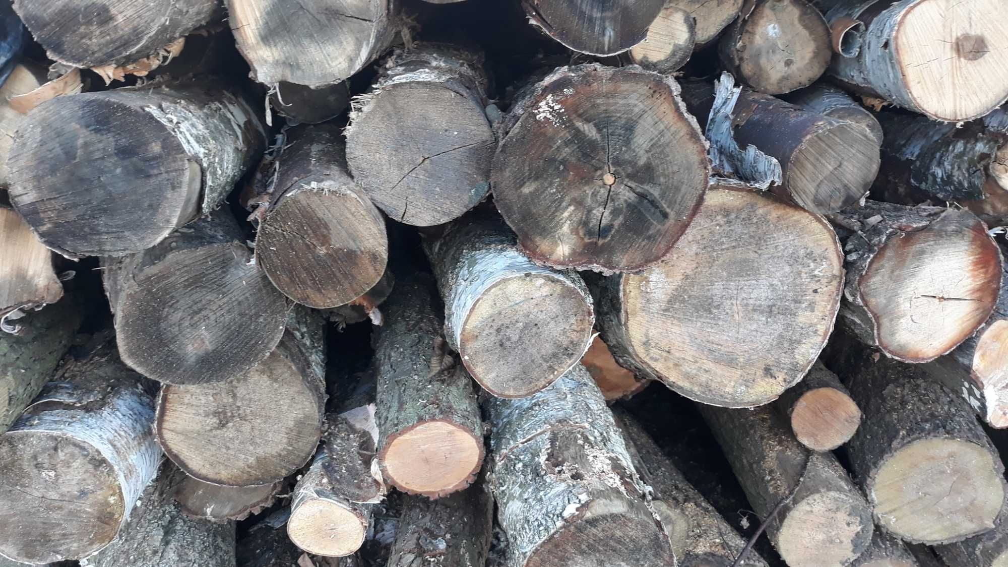 Drewno kominkowe i opałowe Grube   Transport Gratis