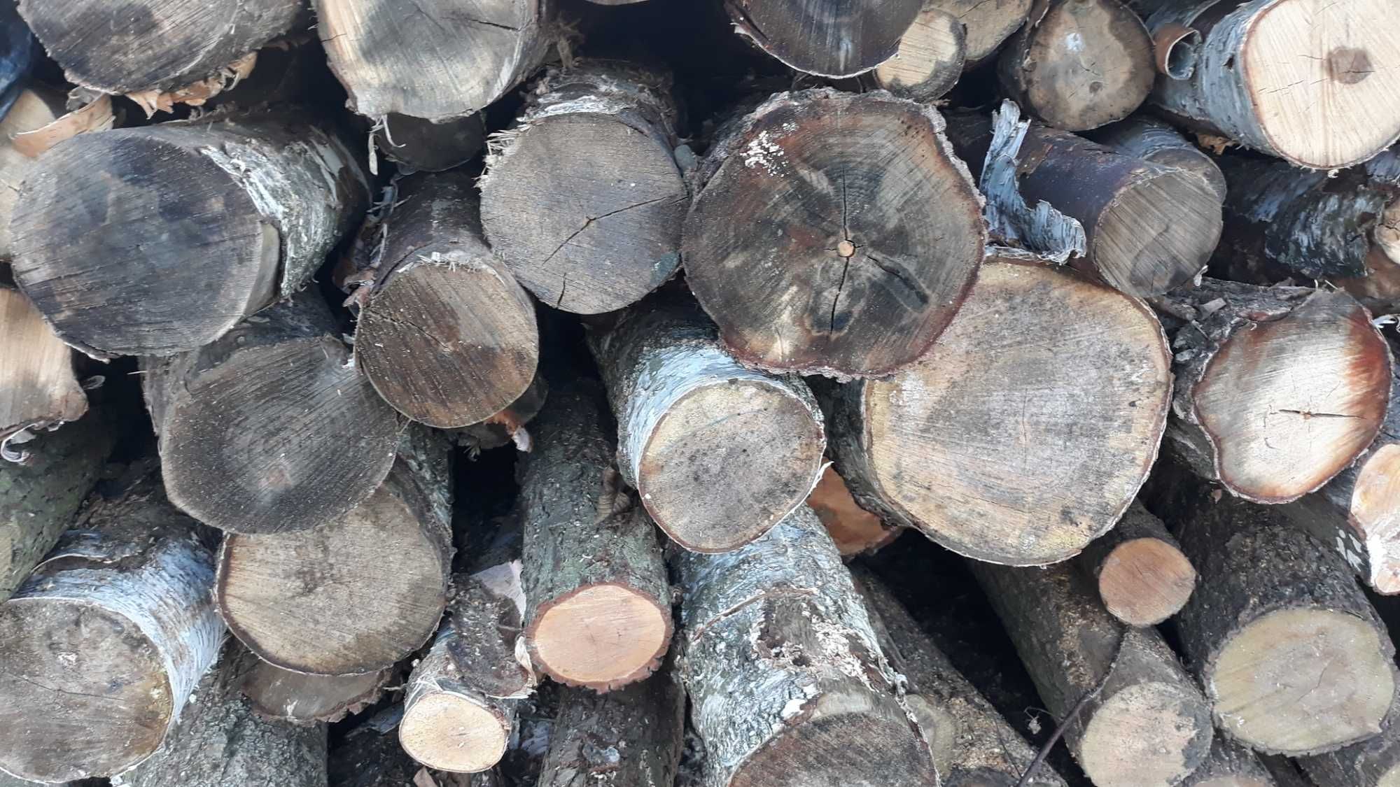 Drewno kominkowe i opałowe Suche Grube   Transport Gratis