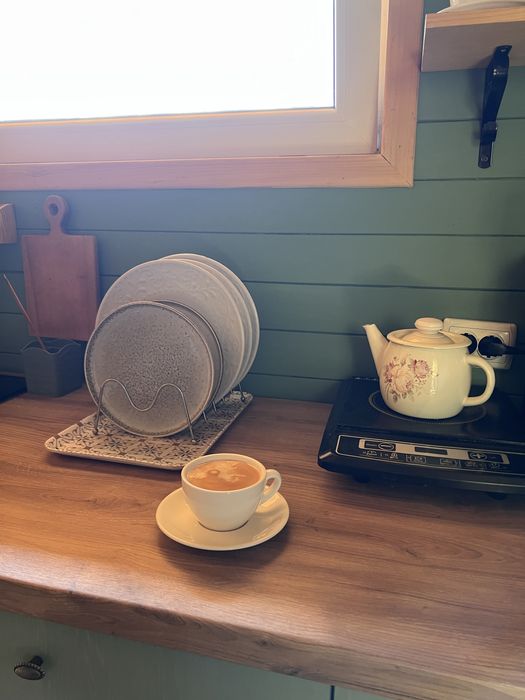 Оренда модульного будинку в Карпатах