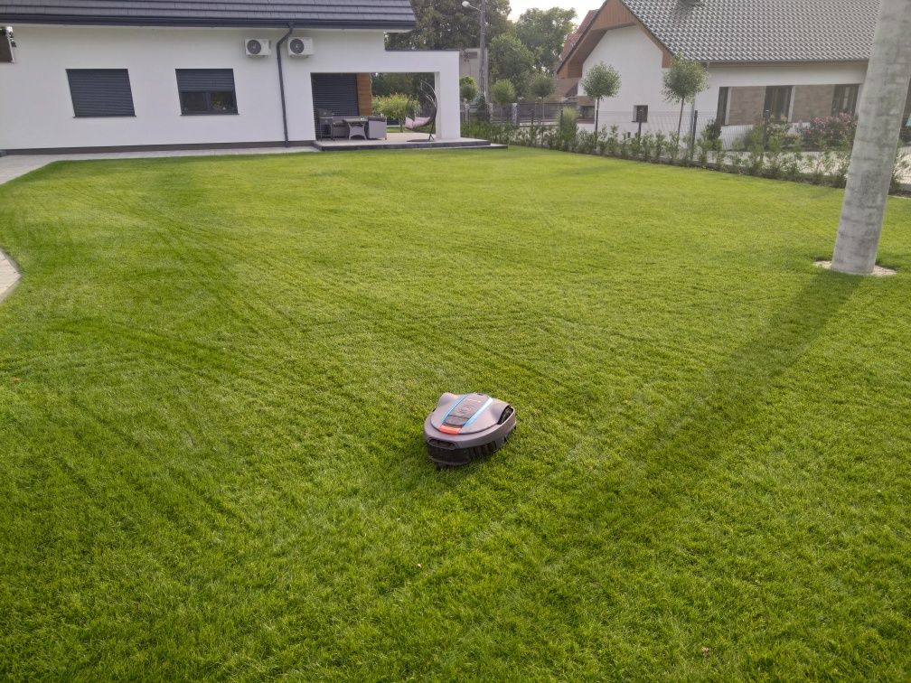 Zakładanie trawnika z siewu, Siatka na krety, Nawadnianie ogrodów.