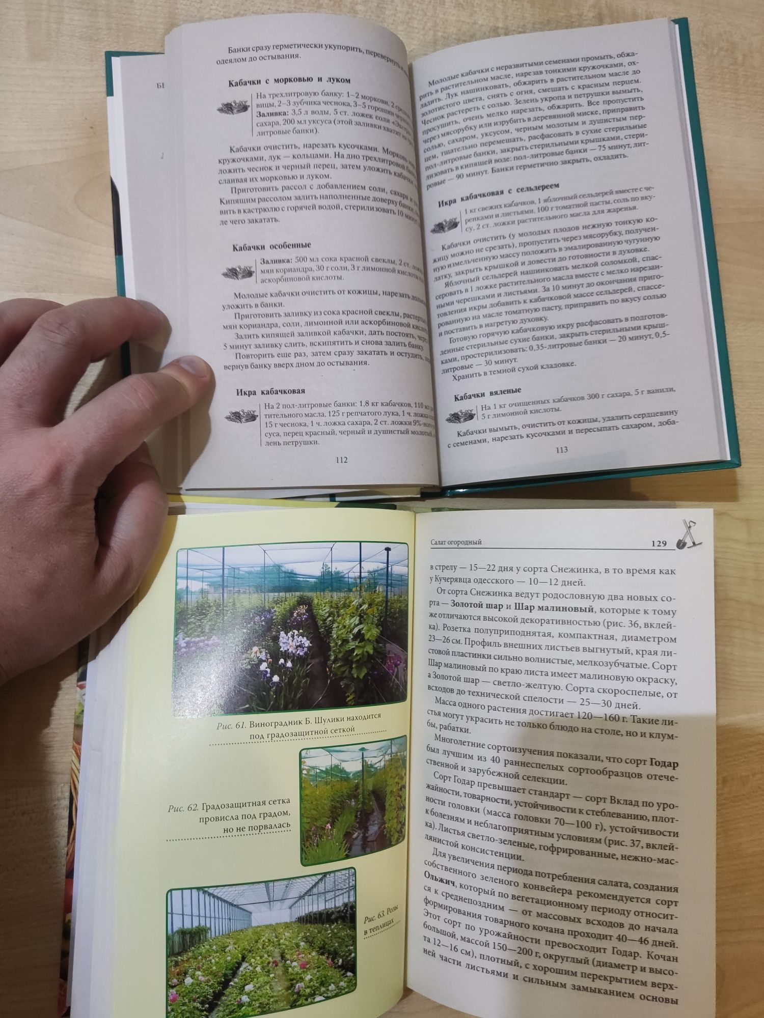 Все об устройстве теплиц, парников, выращ. овощей, фруктов. +Заготовки